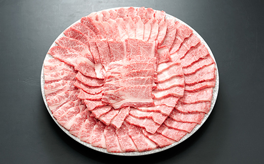 飛騨牛 焼肉セット 800g 焼肉 BBQ 牛肉 和牛 肉 霜降り バラカルビ 赤身 モモ カタ 詰め合わせ ギフト 御祝 内祝 4人前 大容量 岐阜県 坂祝町 養老ミート  F6M-394