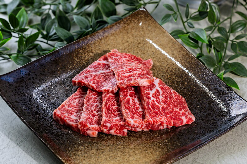 【ふるさと納税】富士山竹川牛 サーロインステーキ 165g×1枚 & リブロース焼肉 195g　送料無料 静岡県 富士宮市