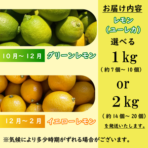 【期間限定】檸檬  ユーレカ 1kg  レモン 檸檬