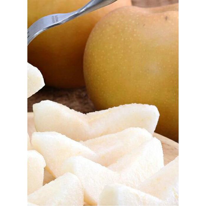 【ふるさと納税】新甘泉 訳あり 5キロ（砂丘のなし屋さん） | 鳥取 梨 なし 新甘泉 期間限定 送料無料 鳥取県 鳥取市