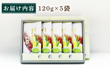 【指定生産農家のかぶせ茶】 そのぎ茶 (極上) 120g×5袋入り /茶 お茶 日本茶 茶葉 お茶 日本茶 緑茶 茶葉 お茶 日本茶 緑茶 茶葉 お茶 日本茶 緑茶 茶葉 お茶 日本茶 緑茶 茶葉 お