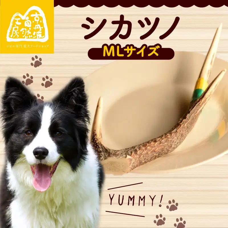 シカツノ MLサイズ 鹿の角(犬 歯磨き ペット用品 おもちゃ