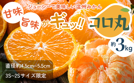 みかん コロ丸 小みかん 瀬戸内 みかん【約3kg】【先行予約】