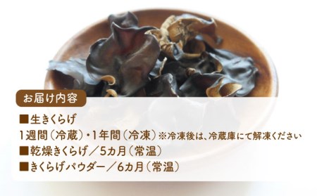 【美容・ダイエット・健康に効果的】佐賀県産 きくらげ 3種の詰め合わせセット（生・乾燥・パウダー）計270g 美容食 [UDF001] きくらげ キクラゲ きのこ キノコ 美容 ダイエット 健康  詰