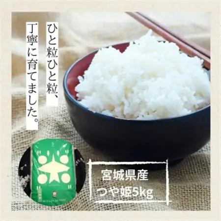 【令和7年産】宮城県産　つや姫 5kg【1675853】