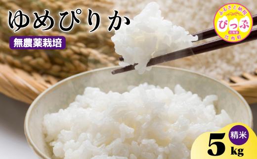 令和7年産 新米 ゆめぴりか 精米 5kg【今野農園】無農薬栽培 農薬不使用 化学肥料不使用 米 お米 北海道米 特Aランク 国産 コメ 2025年産 北海道 比布町 ぴっぷ 1012-004