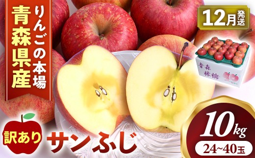 【訳あり】りんご【サンふじ】約10kg（24～40玉）【2026年産・先行予約】★2026年12月発送予定★ アップル 林檎 フルーツ 果物 果実 青森県産 三戸 産地直送 農家直送 送料無料  青森県 三戸町 AK-24-052