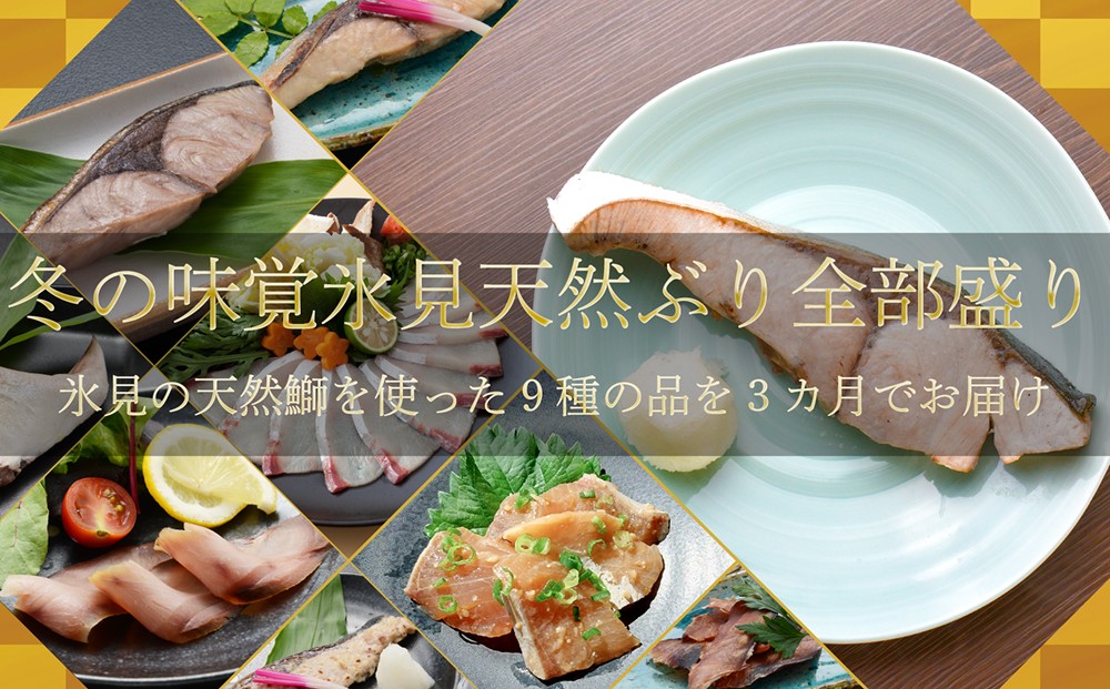 
            【3回定期便】冬の味覚氷見天然ぶり全部盛り ＜2025年12月以降順次発送＞
          