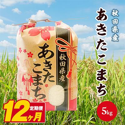 ふるさと納税 潟上市 【毎月定期便】秋田県産あきたこまち 白米 5kg全12回