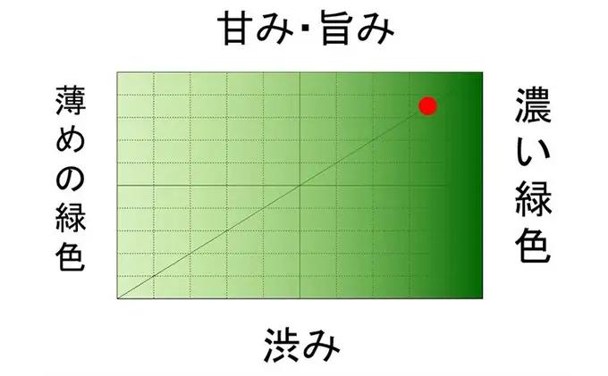 初物深蒸し水出ティーバッグ(5g×20個)×3袋 お茶 緑茶新茶 無垢 粉茶 煎茶 ブレンド ティーパック