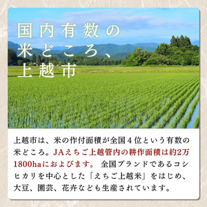 【えちご上越米】令和7年産 新潟県上越産 コシヒカリ 5kg 精米 こしひかり JAえちご上越