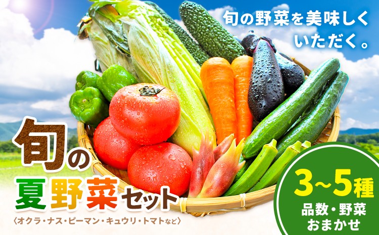 
                  【先行予約】野菜 旬 の 夏野菜 セット 3～5種類 品数おまかせ 野菜おまかせ 浦西自然農園《7月下旬-10月中旬頃出荷》和歌山県 日高川町 旬 夏 野菜 送料無料
                