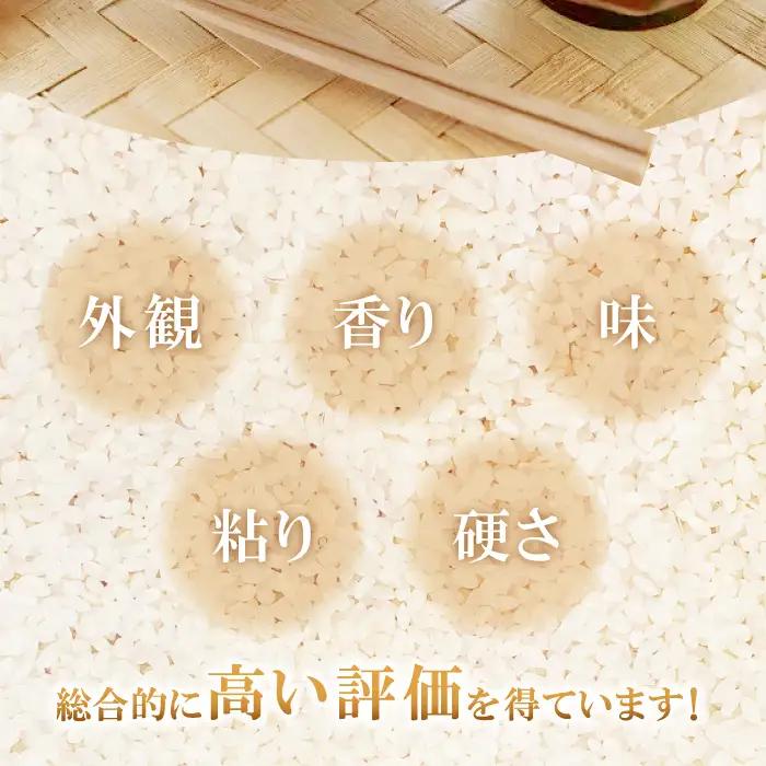 【季節限定17日配送】出雲國仁多米特別栽培米4kg定期便2回【仁多米 こしひかり コシヒカリ 特別栽培米 2kg×2袋 合計4kg 定期便 2回お届け 白米 精米 お米 米 ブランド米 小分け 便利 