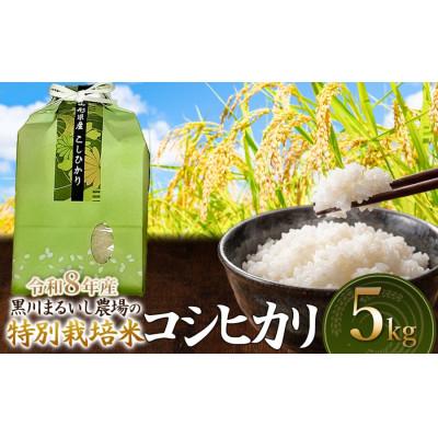 ふるさと納税 鶴岡市 【令和8年産】特別栽培米コシヒカリ精米5kg[K-837]