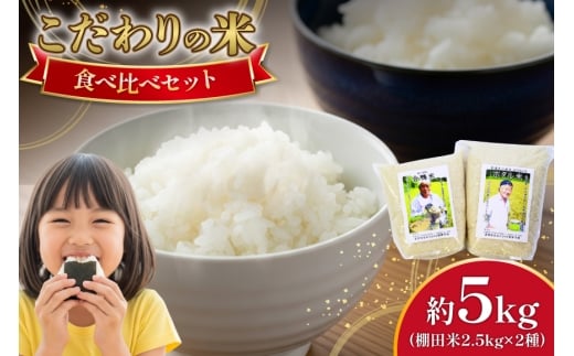 米 令和7年産 棚田米 2.5kg 2袋 総計 5kg [ひらど新鮮市場 長崎県 平戸市 hr42bgy400012] コメ こめ お米 ごはん 新米 白米 精米 国産 5キロ 小分け こしひかり ひのひかり ゆめつくし にこまる なつほのか