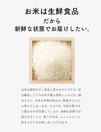 【12ヶ月定期便】米 南関町 単一原料米 (ひのひかりorにこまるorくまさんの輝き)  無洗米 5kg《お申込み翌月から出荷》熊本県産 国産 無洗米 こめ コメ 5キロ