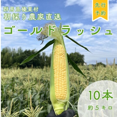 トウモロコシ　ゴールドラッシュ　10本【配送不可地域：離島】