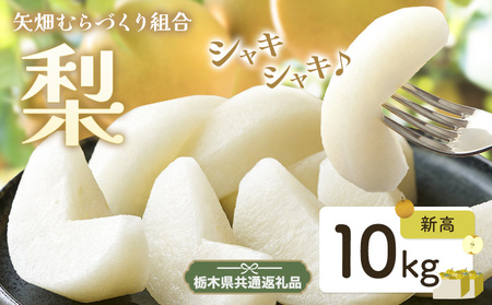 梨 新高梨 10kg 矢畑むらづくり組合《9月中旬-9月末に出荷予定》 【栃木県共通返礼品　栃木県産】【配送不可地域あり】(離島)梨梨梨