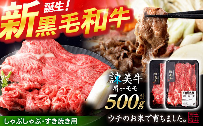 
            【特Aのブランド米で育てた】諫美牛 しゃぶしゃぶ・すき焼き用 500g(250g×2) / 牛肉 ぎゅうにく 和牛 牛 肉 国産 しゃぶしゃぶ すき焼き / 諫早市 / 株式会社土井農場 [AHAD092]
          