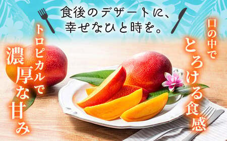 【先行予約/数量限定】完熟マンゴー５L×１玉 宮崎県産 濃厚 高級 果物 フルーツ 贈答 ギフト 完熟マンゴー マンゴー 送料無料【JA綾町】_A0114-2331