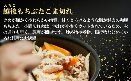 越後もちぶたこま切れ肉3kg(300g×10パック)【配送不可地域：離島】【1595588】