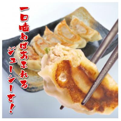 ふるさと納税 沼津市 ざぶ〜んの自家製餃子　50個(1pc/10個入×5pc) |  | 01