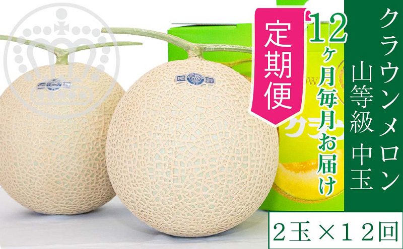 
【12ヶ月定期便】クラウンメロン【上(山等級)】中玉(1.3kg前後)2玉入り [№5786-5474]
