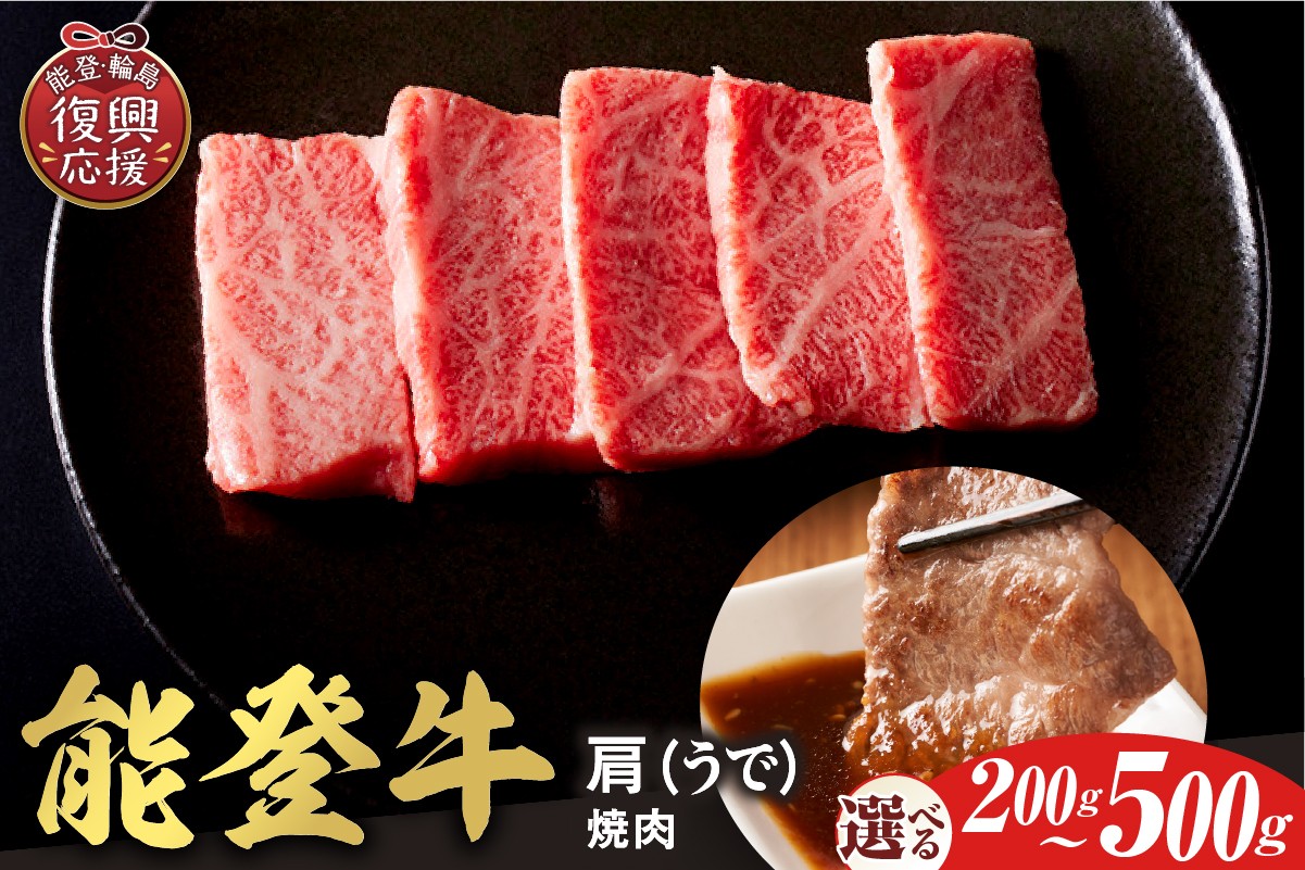 
                  【選べる内容量】【和牛セレブ】能登牛 牛肩（ウデ） 焼肉
                