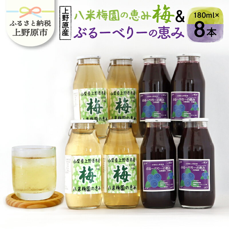 【ふるさと納税】◆先行予約◆ 梅ジュース ブルーベリージュース 180ml×8本（各4本） 無添加 自然栽培 八米梅園 国産 保存料不使用 梅果汁入り 濃厚 飲料 ドリンク 美味しい 瓶 夏ギフト 贈り物 お取り寄せ 山梨県産 上野原市 送料無料