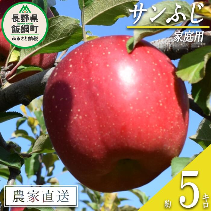 【ふるさと納税】 りんご サンふじ 家庭用 5kg ファームたんぽぽ 沖縄県への配送不可 令和7年度収穫分 長野県 飯綱町 〔 信州 果物 フルーツ リンゴ 林檎 長野 12000円 予約 農家直送 〕発送時期：2025年12月上旬〜2025年12月下旬{**}