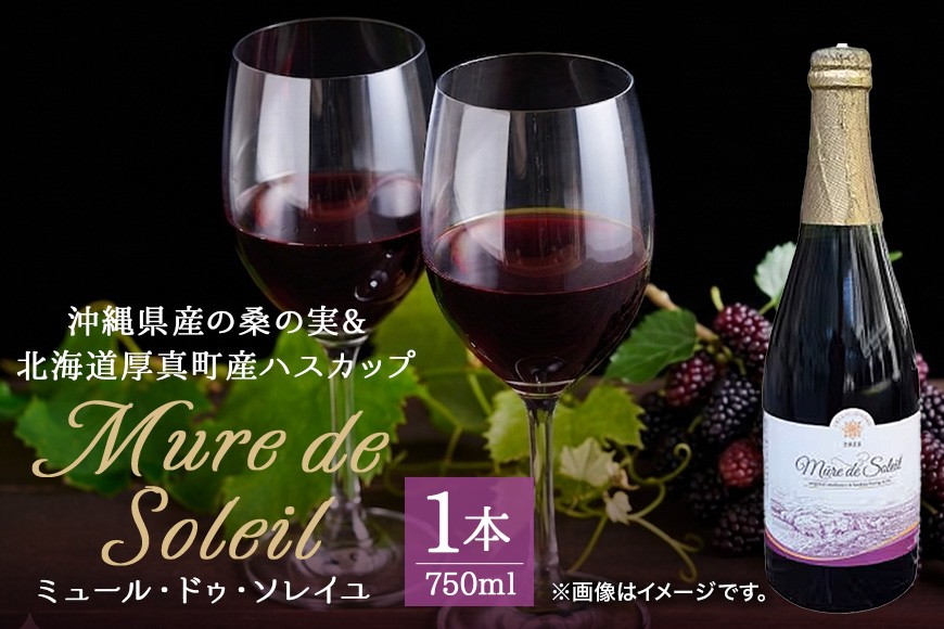 
                  【数量限定】2022年度産 浦添ワイン Mure de Soleil（ミュール・ドゥ・ソレイユ） | 沖縄県 浦添市 お酒 ワイン ロゼワイン 赤ワイン 白ワイン 飲み比べセット 人気 ギフト フルーティー プレゼント
                