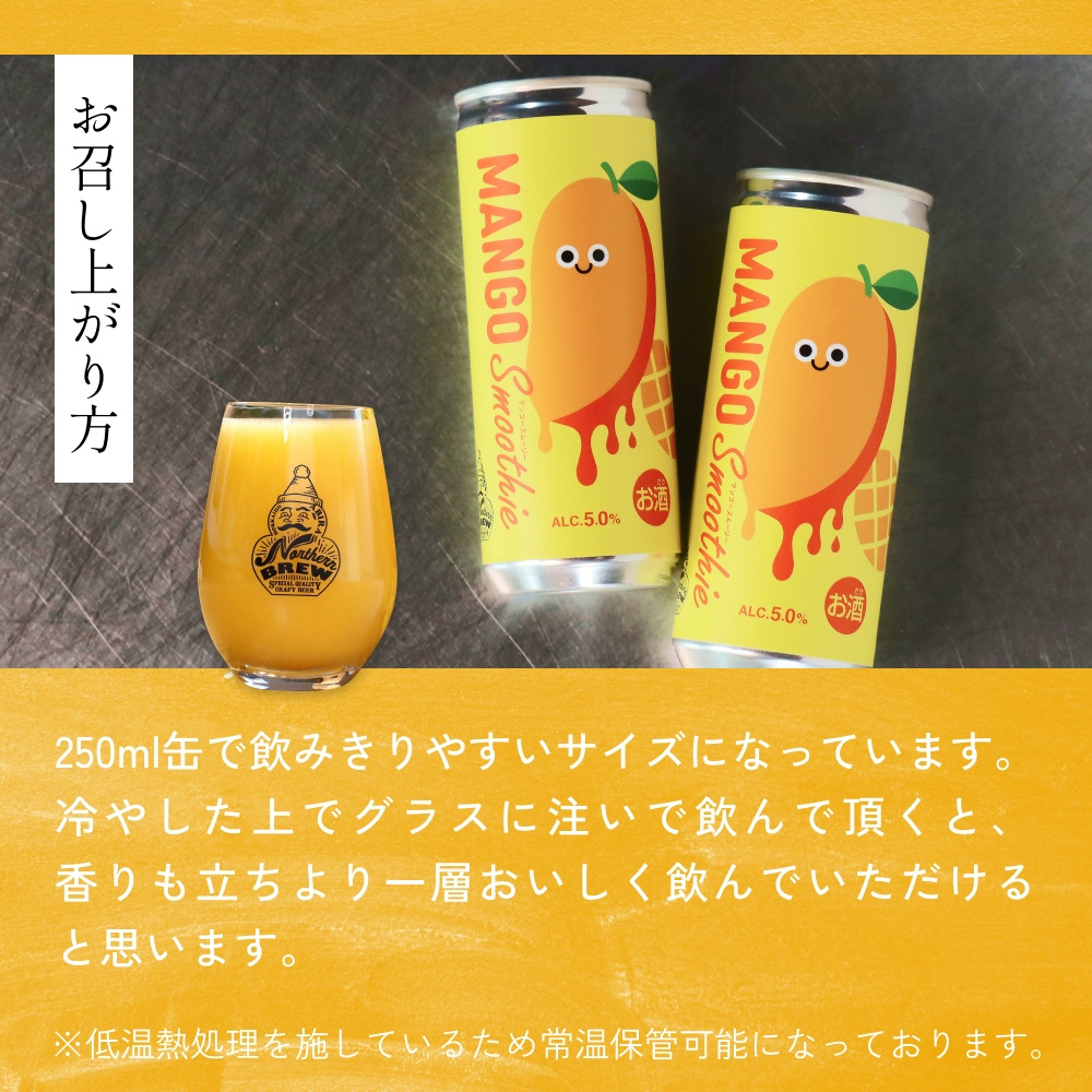 クラフトビール 250ml×3本 NORTHERN BREW ＜Mango smoothie(マンゴースムージー)＞