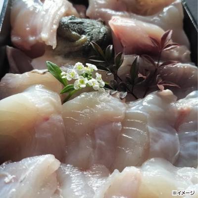 ふるさと納税 南あわじ市 熟成とらふぐ【冬の王】(四人前)配送:2月28日まで |  | 02