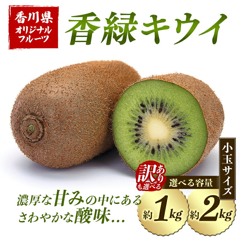 【ふるさと納税】 香緑 キウイ (小玉サイズ) 約1kg 約2kg 訳あり約2kg 先行予約 【2026年12月〜2027年3月頃お届け】 フルーツ 果物 くだもの キウイ 香緑 小玉 デザート キウイフルーツ 食品 名産 四国 F5J-670var