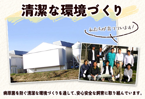 ＜配送開始月が選べる!!＞児湯養鶏自慢の卵 ネッカリッチ赤たまご「児湯一番」 計480個 （20個入×2箱）×12か月定期便 生活応援 ※2027年1月配送開始【E19-2701】 2027年1月配送