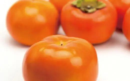 【数量限定】【秋の美味】【和歌山ブランド】 濃厚! 富有柿 秀品 　L～3Lサイズ 約7.5kg / 柿 フルーツ 果物 ※2026年11月中旬～12月上旬頃順次発送予定 ※沖縄・その他離島への配送不