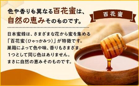 日本蜜蜂のハチミツ100％！はちみつ（逆さ容器300g1本）  高級 自然食品 無添加 ニホンミツバチ