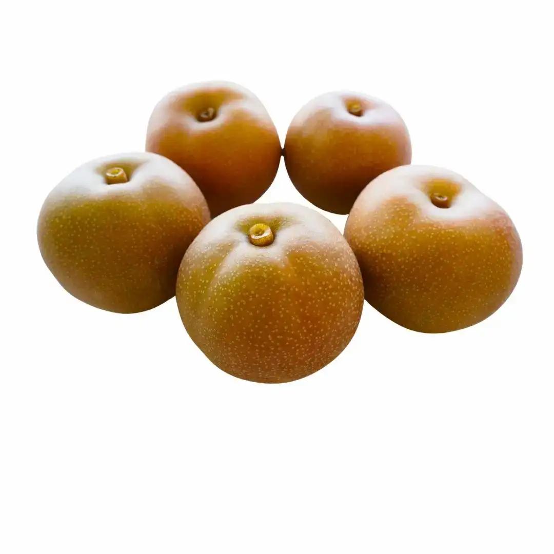 先行予約 新美月梨 約3kg(6~10個)  新潟県オリジナル品種 三条市 小野里果樹園