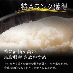 Y983 因幡の白兎米 きぬむすめ 令和7年産 精米済 20kg（5kg×4袋）