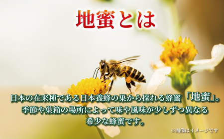 訳あり 地蜜 はちみつ 180g 元気や ハチミツ わけあり 訳アリ 訳あり品 非加熱 はちみつ 国産はちみつ 純粋はちみつ 生はちみつ 生蜂蜜 蜂蜜 ちみつ ハニー honey 簡易包装 甘い 数量