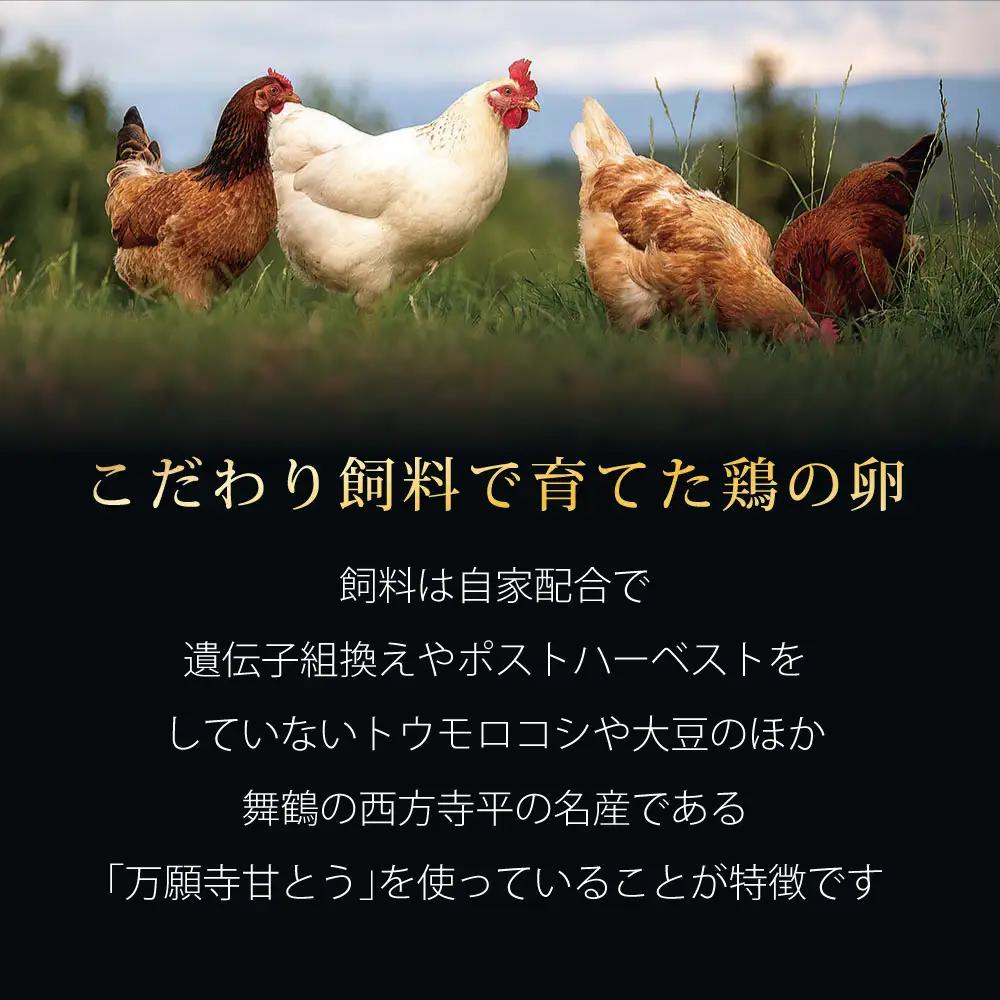 ガトーショコラ 缶詰 6缶セット スイーツ 缶詰