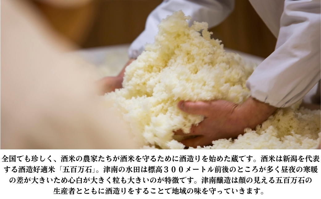 つなん 白 純米大吟醸 720ml×1本【令和6酒造年度 全国新酒鑑評会金賞受賞】| 津南醸造 新潟