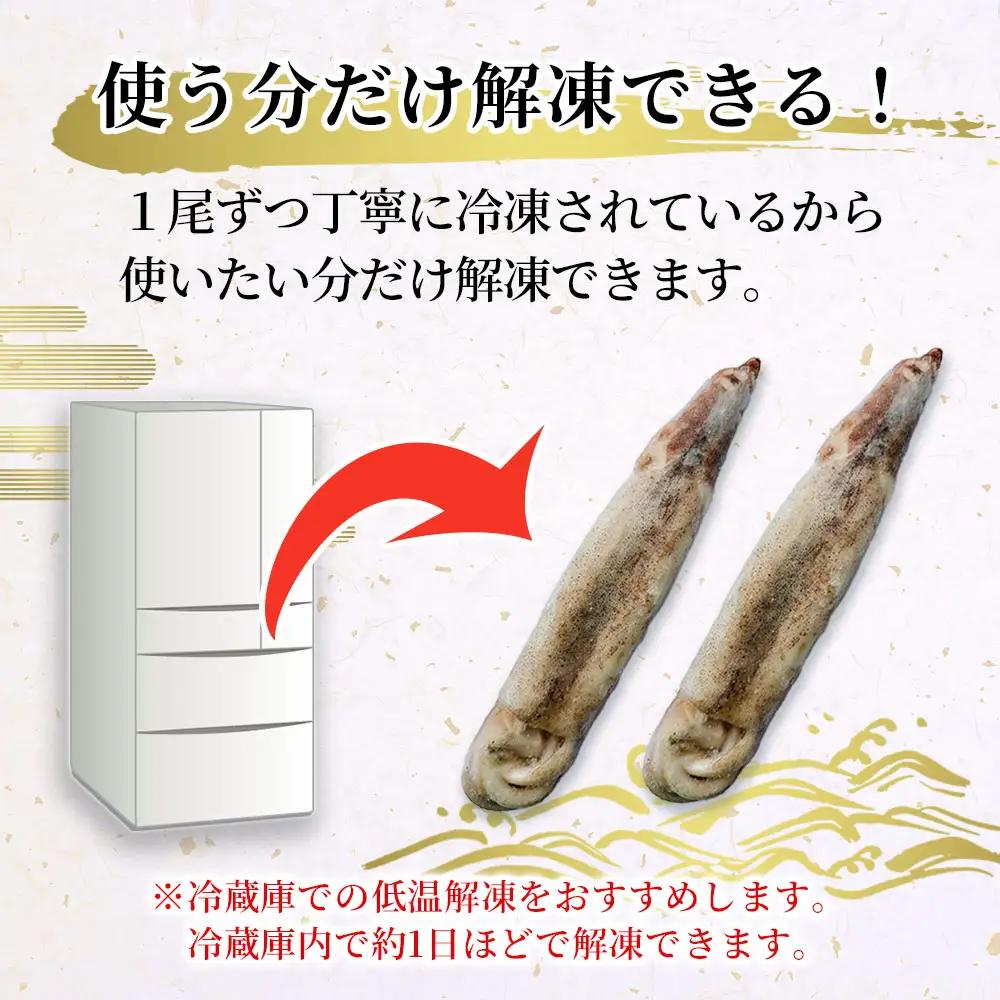 fn-64-002 三陸釜石産 するめいか 大容量パック！10本 約1.5kg 阪神低温