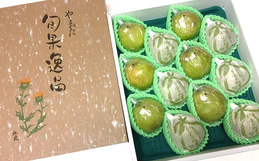 
            【令和7年産先行予約】 【市農業祭最優秀賞受賞者】 ラ・フランス 約5kg (8～12玉 特選 5～6L) 《令和7年11月上旬～発送》 『長谷部農園』 洋梨 梨 果物 フルーツ 山形県 南陽市 [1098]
          
