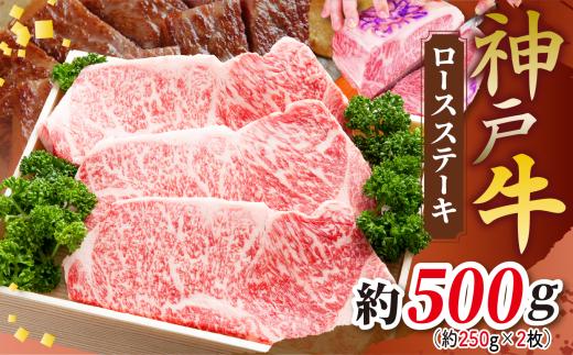 KGST5 神戸牛ロースステーキ 500g（250g×2枚）| 肉 牛肉 神戸牛 霜降り ステーキ ロース おいしい グルメ 贅沢 高級 兵庫県 上郡町