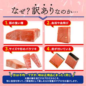 南マグロ 赤身 訳あり 約600g まぐろ【fjd10】