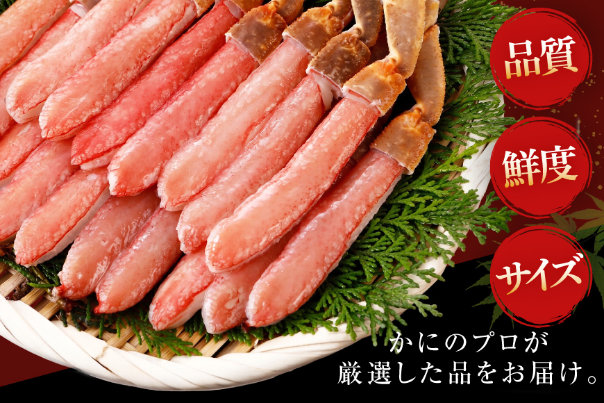 生本ずわい かに 棒肉ポーション 20～30本入 総重量 約500g [カネダイ 宮城県 気仙沼市 20564322]