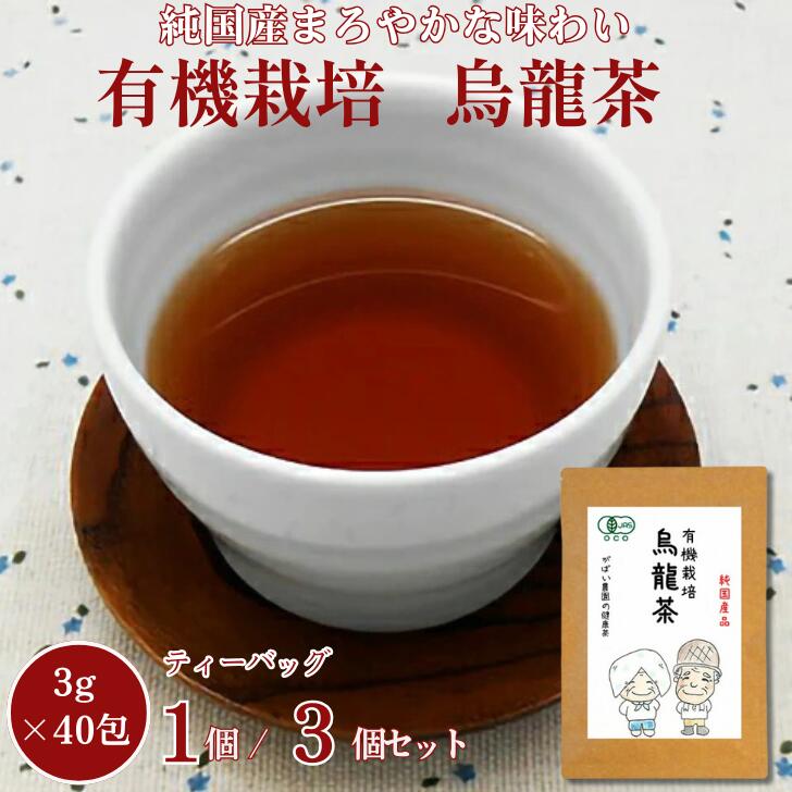 【ふるさと納税】有機栽培 烏龍茶 選べる 1個 or 3個セット：A095-015