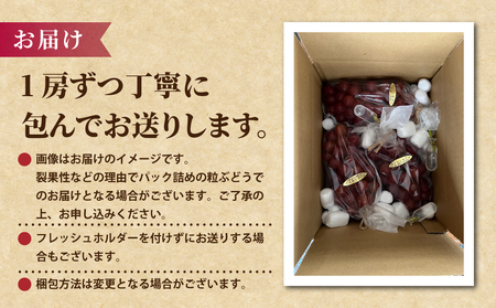 【先行受付2026年発送】2種の種なしぶどうセット(クイーンセブン・ナガノパープル） 合計2房｜あおさく農園　※2026年9月中旬以降発送予定