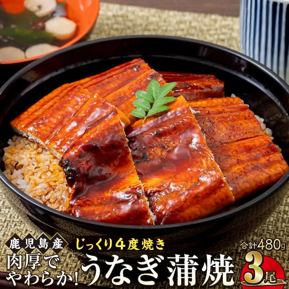 うなぎ 蒲焼 160g×3尾【鹿児島産】地下水で育てた絶品鰻｜うなぎ